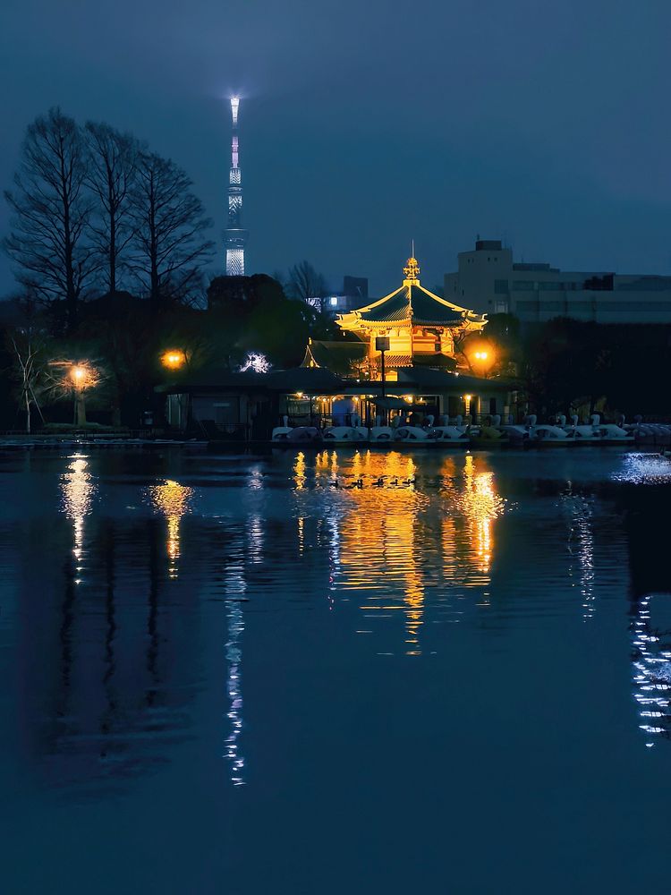 Bentendo Temple at Night, Tokyo, JapanLooking over the water at night towards Tokyo SkyTree and Bentendo Temple, Shinobazu…