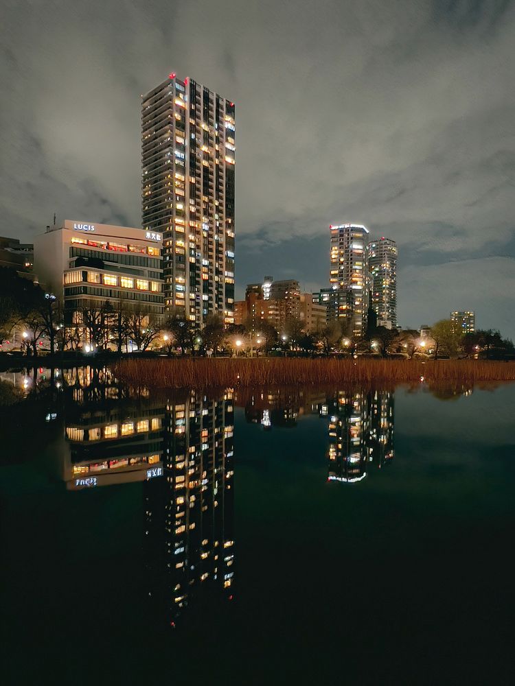 Towers, Shinobazu Pond, TokyoLooking over withering lotus plants in winter towards residential towers and their reflections…