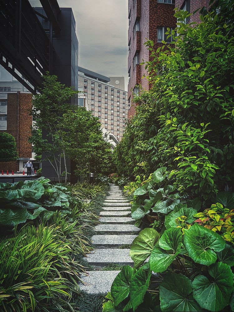 Stepping Stones Between Buildings, Tokyo, JapanLooking down a row of stepping stones in a garden between buildings in…