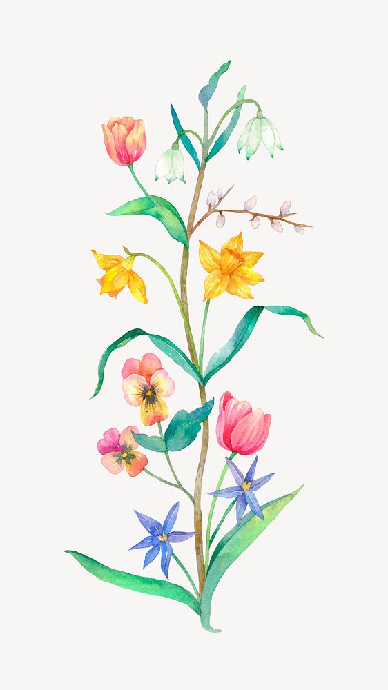 Spring flower illustration, watercolor collage element psd