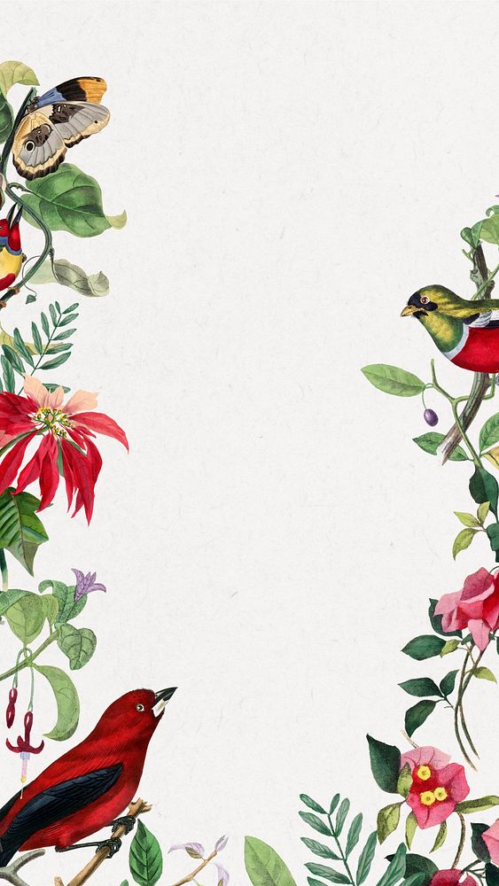 Tropical bird border iPhone wallpaper, white design