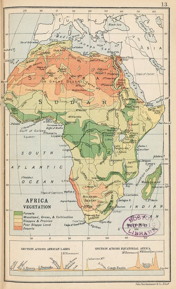             Africa vegetation          