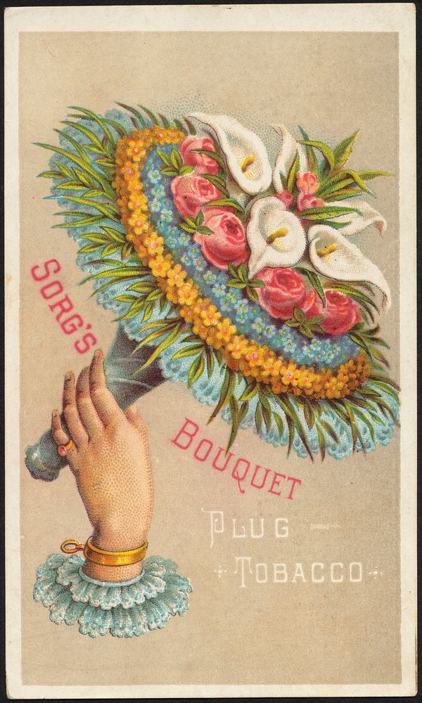             Sorg's Bouquet Plug Tobacco          