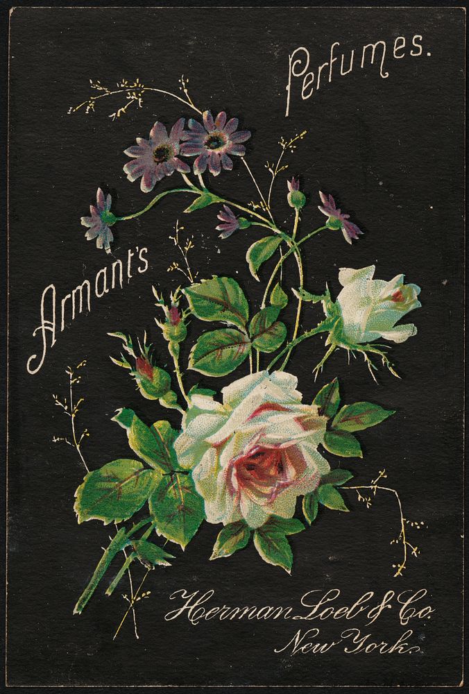             Armant's Perfumes.          