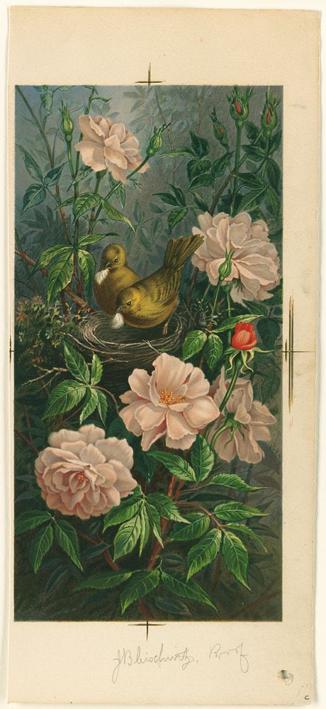             Nesting bird among roses          