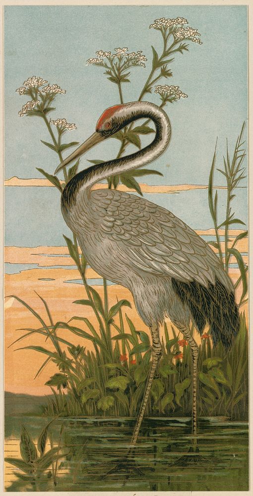             Cloisonne, crane          