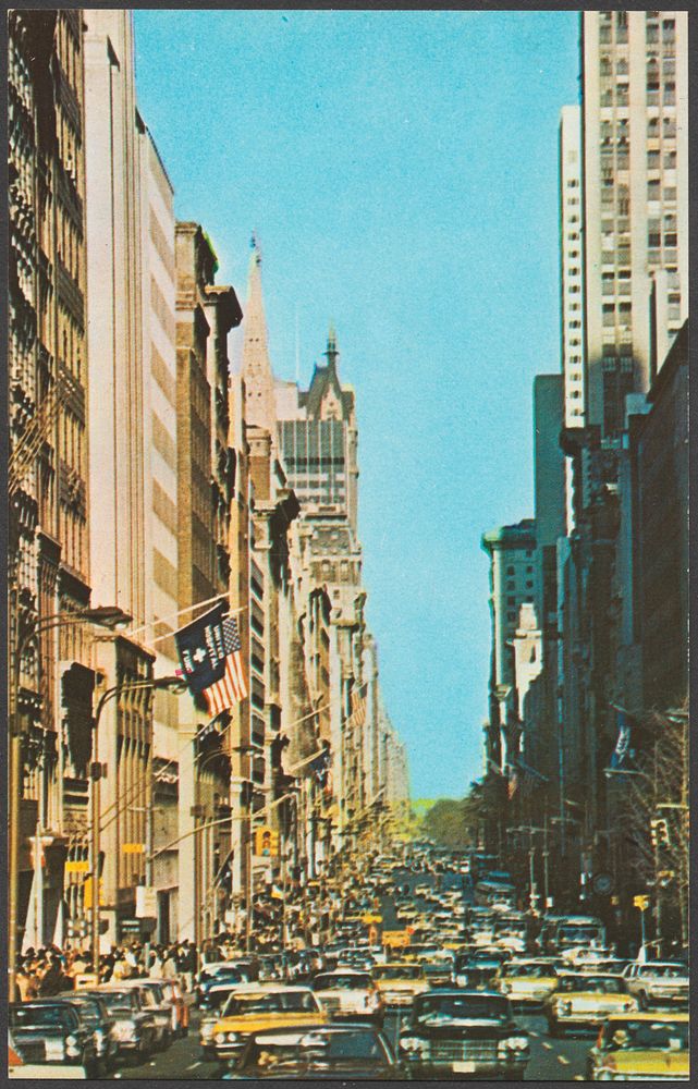             Fifth Avenue, New York, N.Y.          