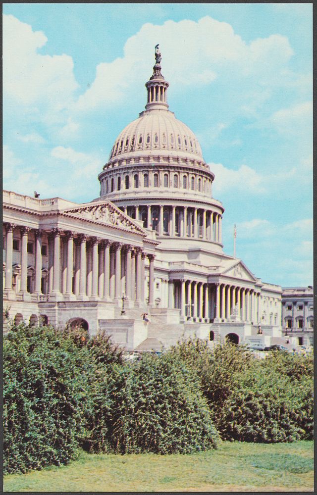             The United States Capitol, Washington, D. C.          