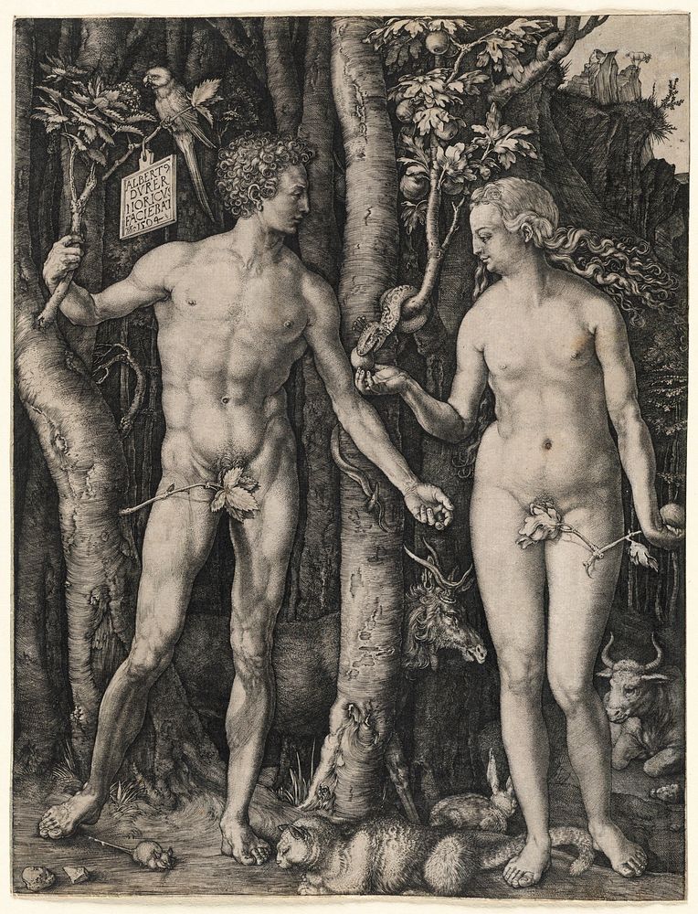             Adam and Eve          