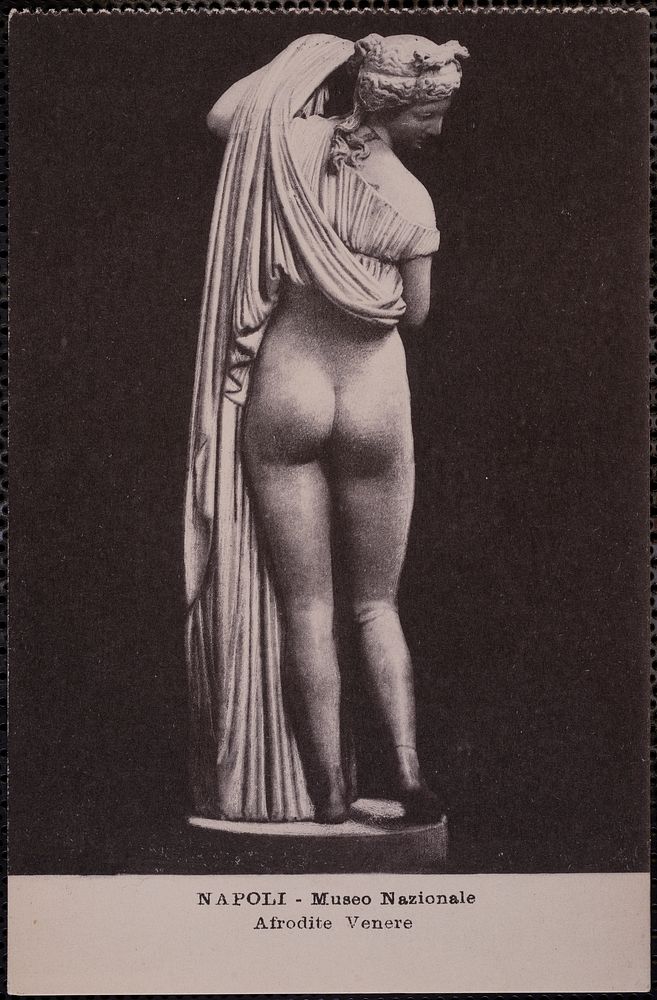             Napoli - Museo Nazionale. Afrodite Venere          