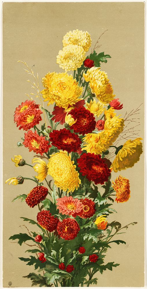             Yellow and red chrysanthemums           by Ellen Thayer Fisher