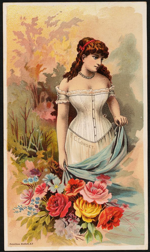             F. C. corset          
