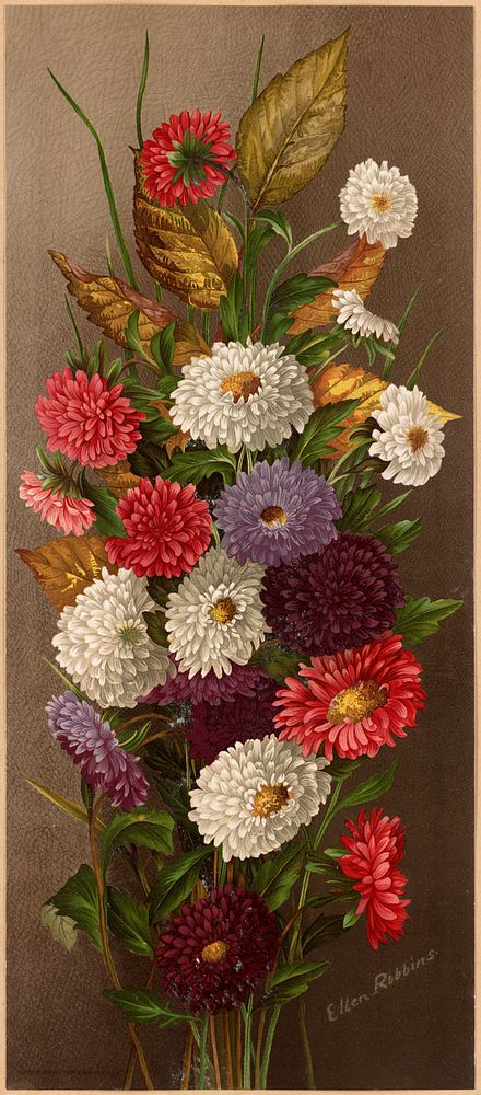             Bouquet of asters          