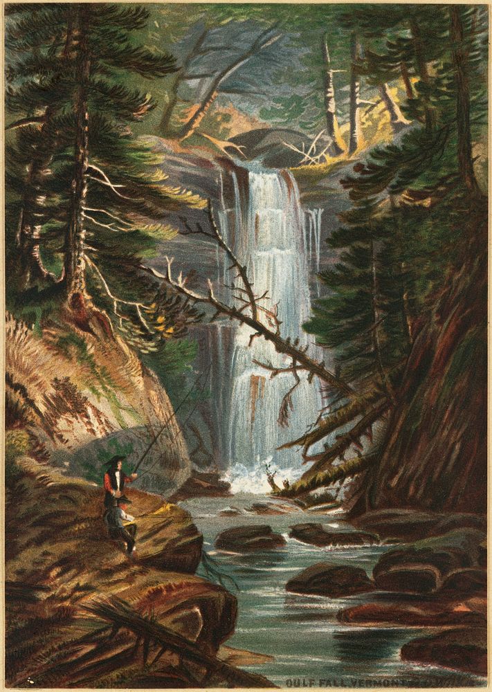             Vermont scenery, Gulf Fall           by Robert D. Wilkie