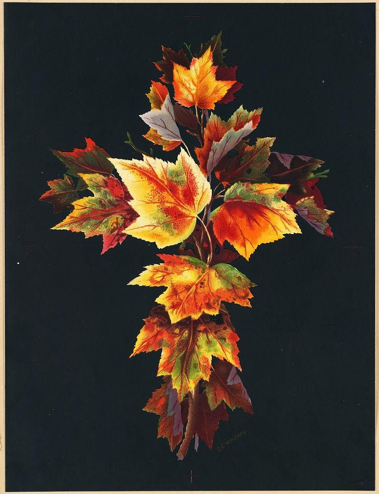             Autumn leaves           by Olive E. Whitney
