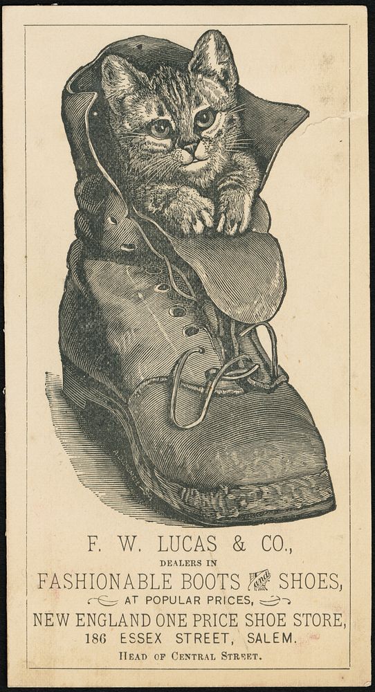             F. W. Lucas & Co., dealers in fashionable boots and shoes at popular prices, New England one price shoe store…