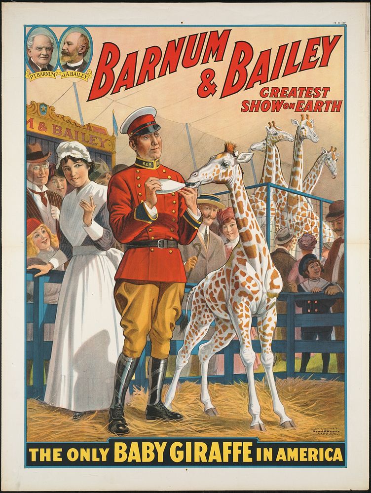             Barnum & Bailey greatest show on earth : The only baby giraffe in America          