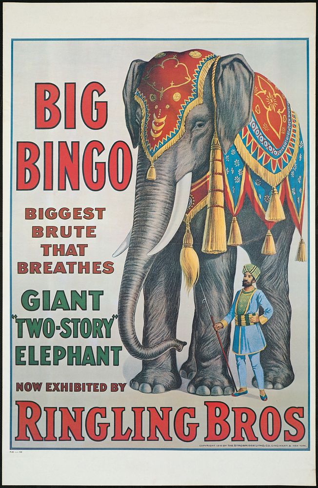             Big Bingo : Giant "two-story" elephant now exhibited by Ringling Bros          
