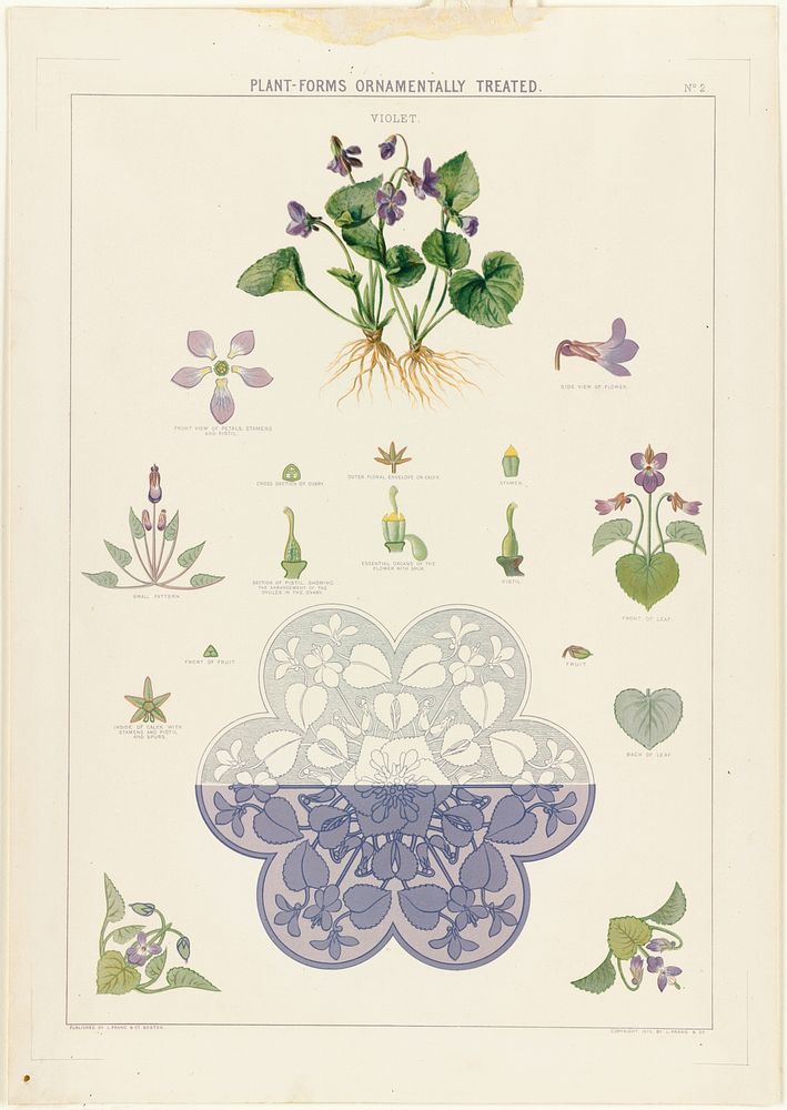             Plant-forms ornamentally treated - violet          