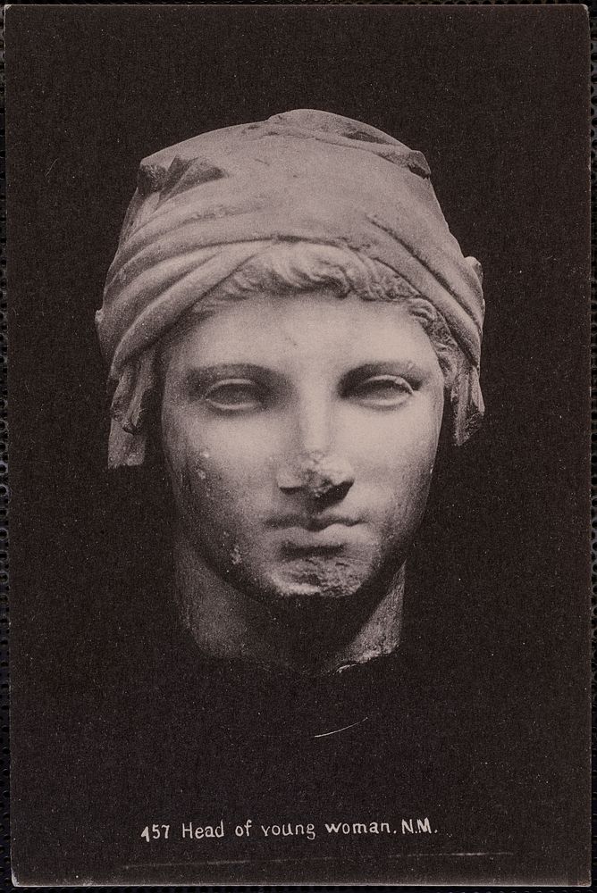             457 head of young woman, N.M.          