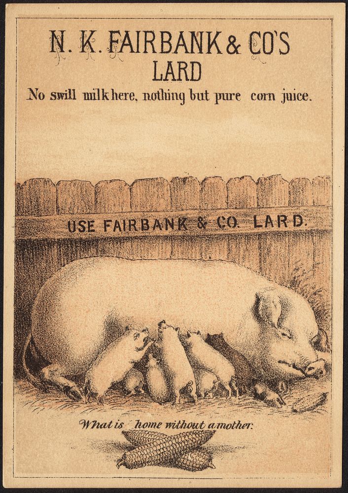             N. K. Fairbank & Co's lard, no swill milk here, nothing but pure corn juice          