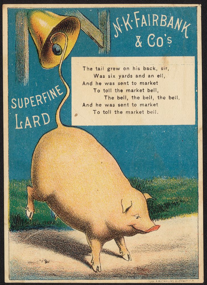             N. K. Fairbank & Co.'s superfine lard - the tail grew on his back, sir, was six yards and an ell, and he was…