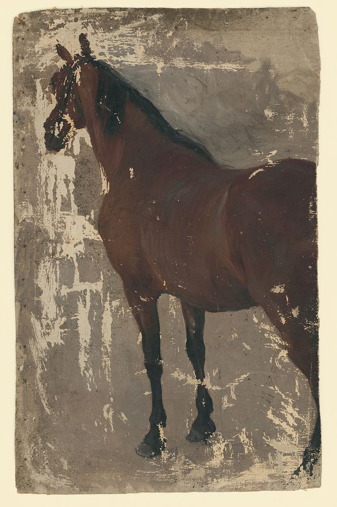 A study of a horse by Jozef Hanula