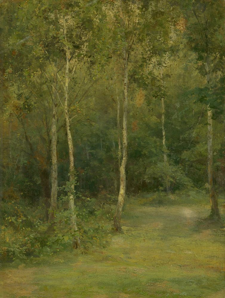 Wooded landscape with little birches by Lajos Csordák