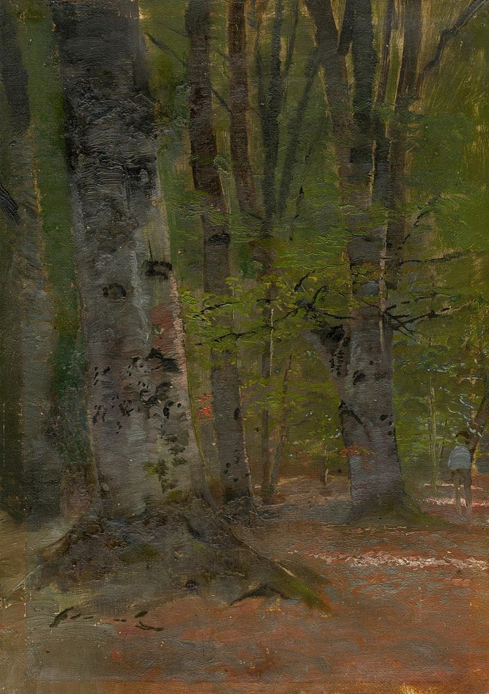 Study of forest interior by László Mednyánszky