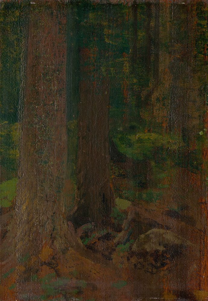Study of forest by Ferdinand Katona