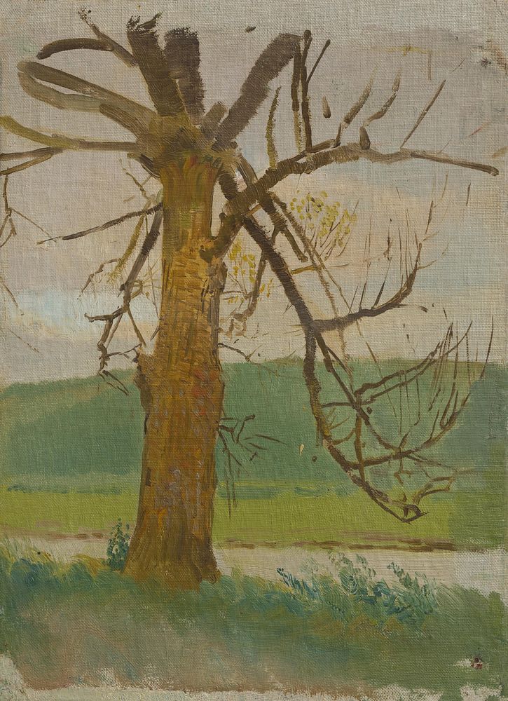Tree by the river by László Mednyánszky