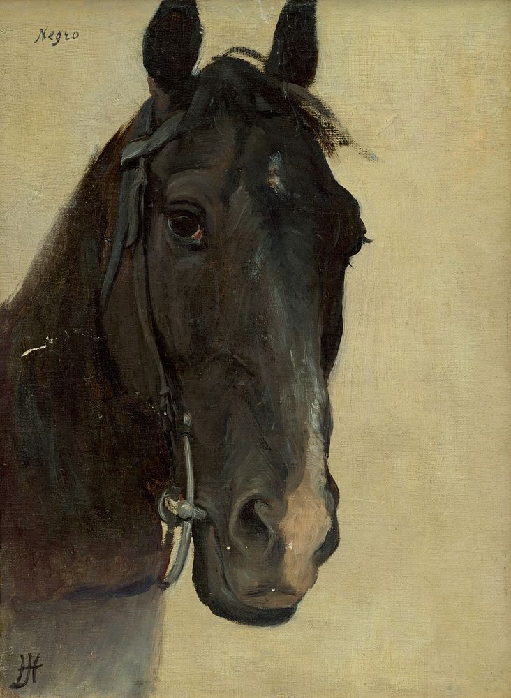 Study of the head of a negro horse by Jozef Hanula