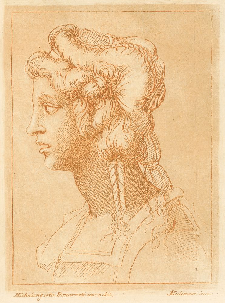 Study of female head in profile by Michelangelo Buonarroti
