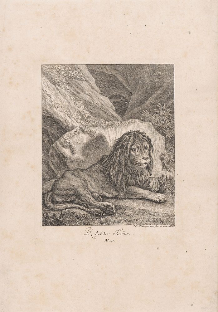 Resting lion, Johann Elias Ridinger