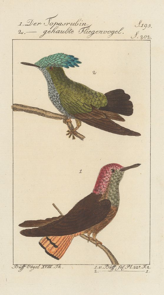 6. illustration