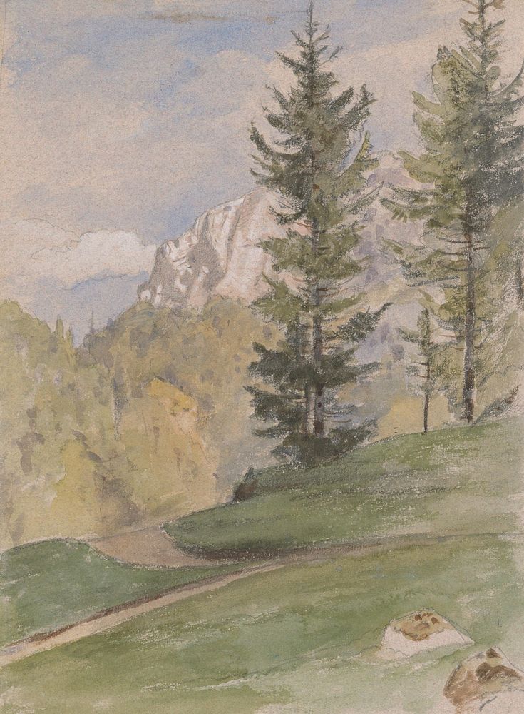 Mountain landscape with coniferous trees, Jan Novopacký