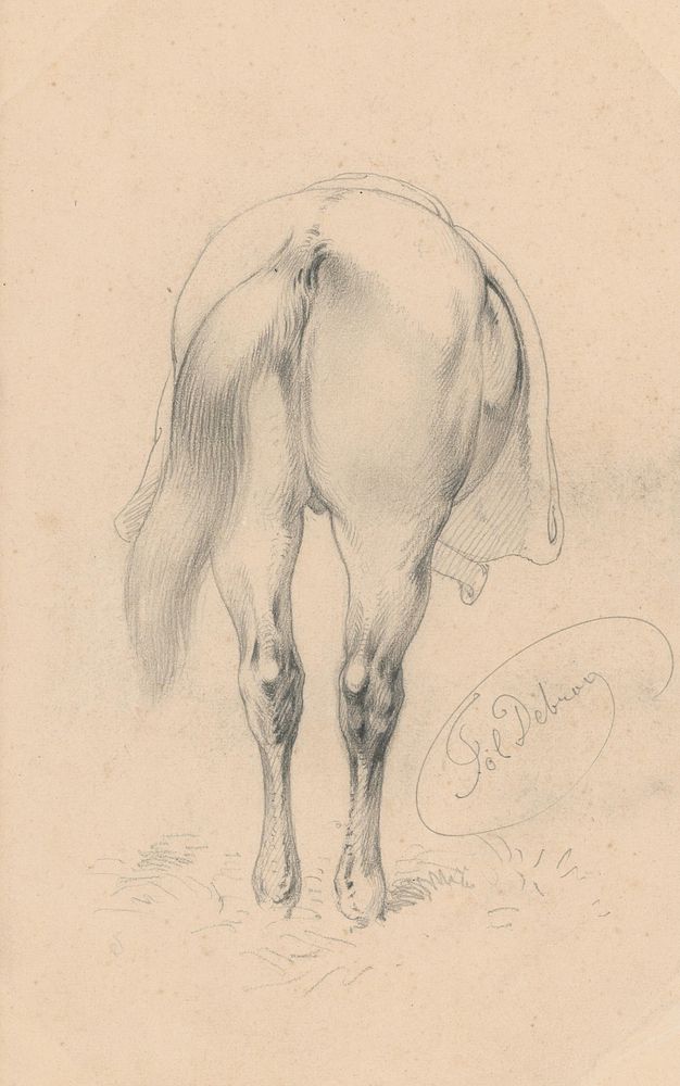 Study of a horse from back by Friedrich Carl von Scheidlin by Friedrich Carl von Scheidlin