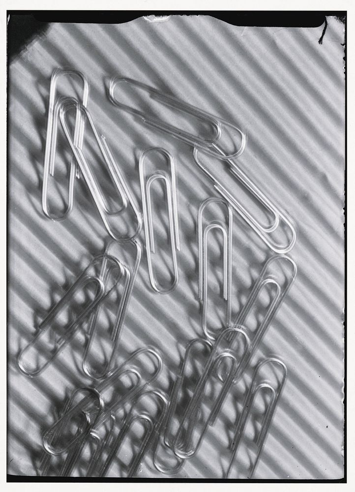 Paper clips by Milos Dohnány