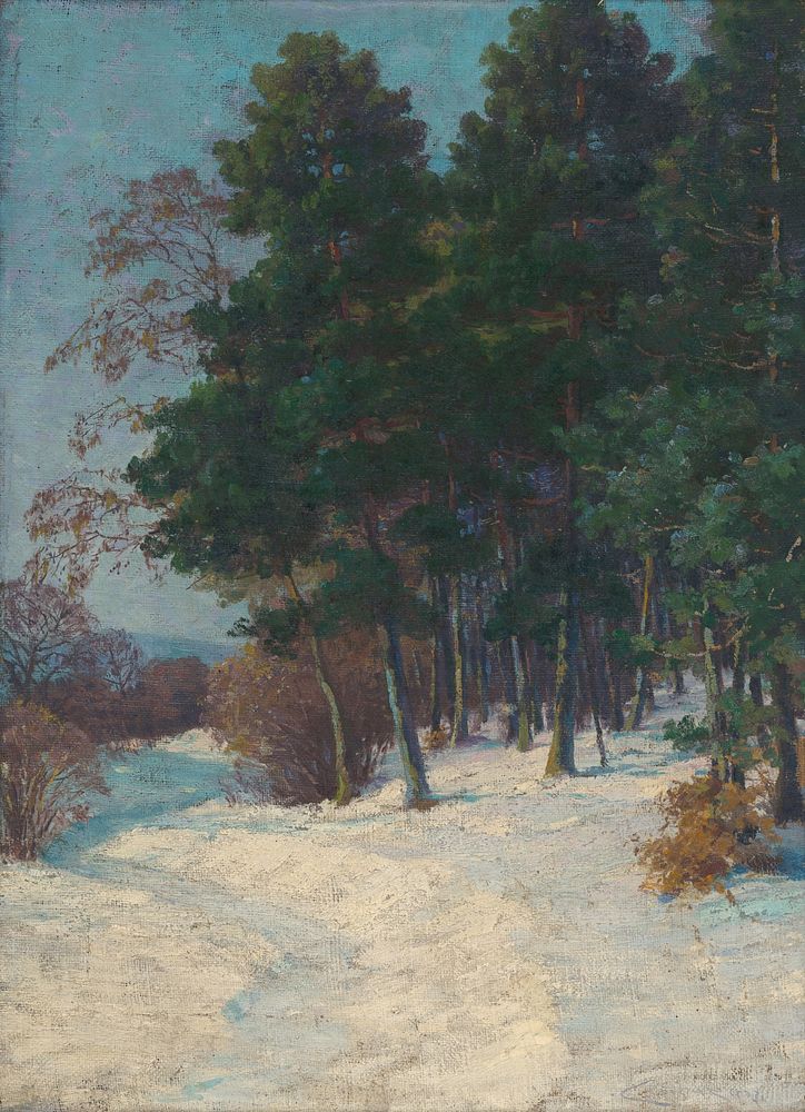 Forest in winter by Lajos Csordák
