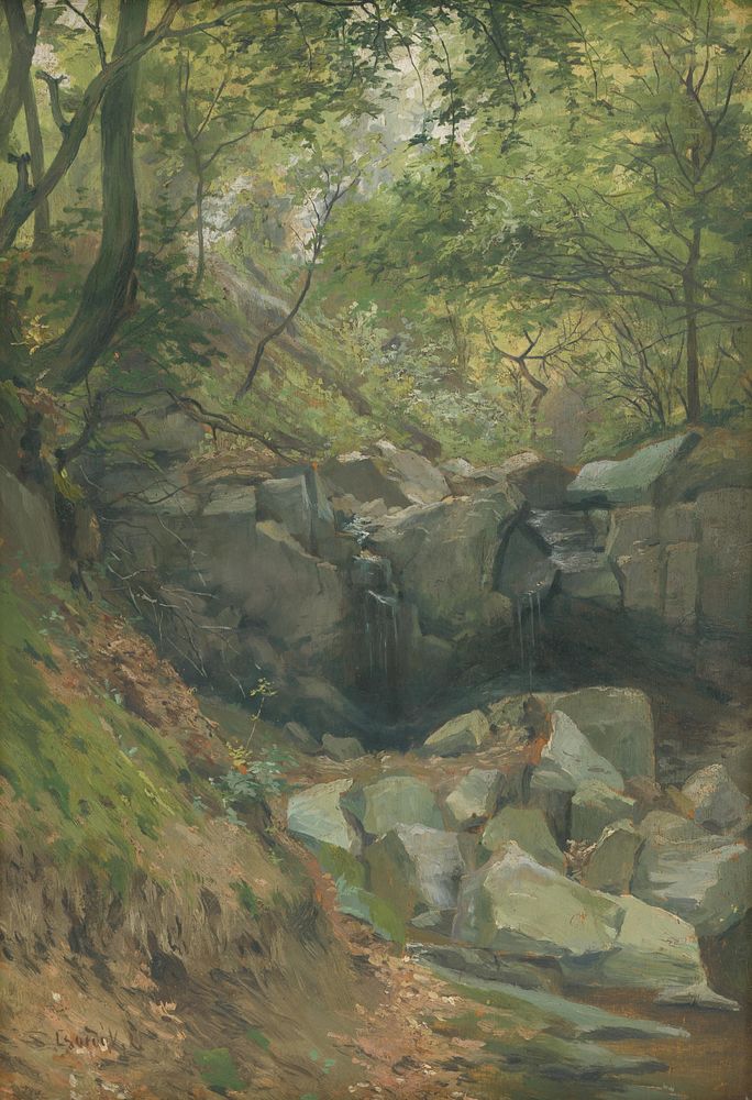 Forest stream by Lajos Csordák