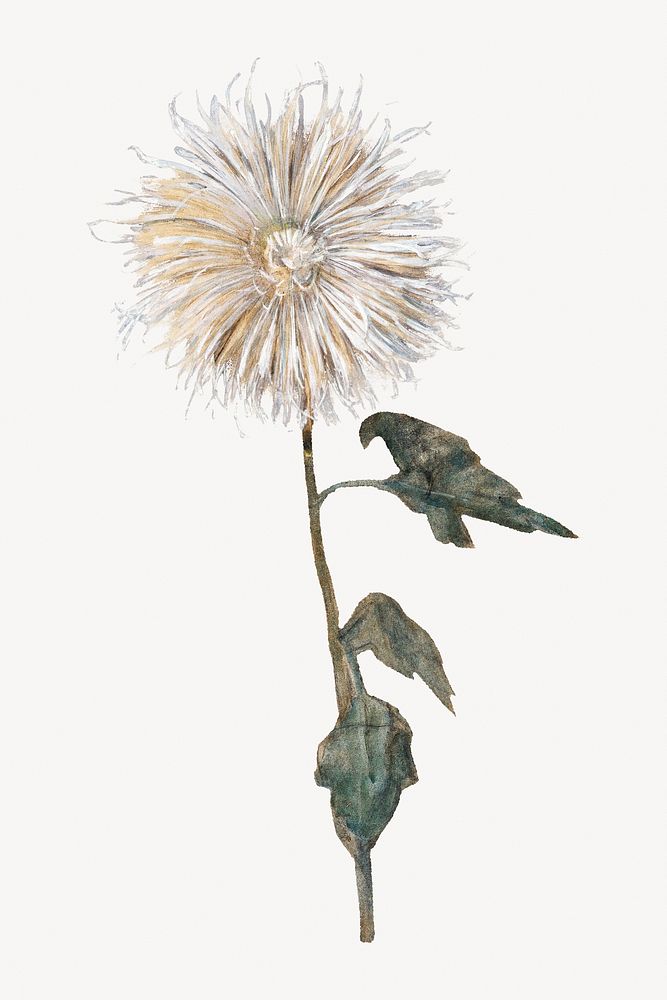Piet Mondrian&rsquo;s Chrysanthemum, flower illustration. Remixed by rawpixel.
