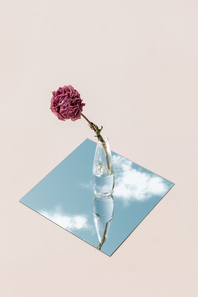 Aesthetic flower vase on mirror background photo