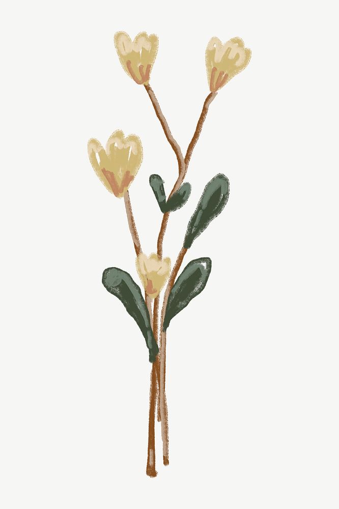 White tulip, flower doodle clipart psd