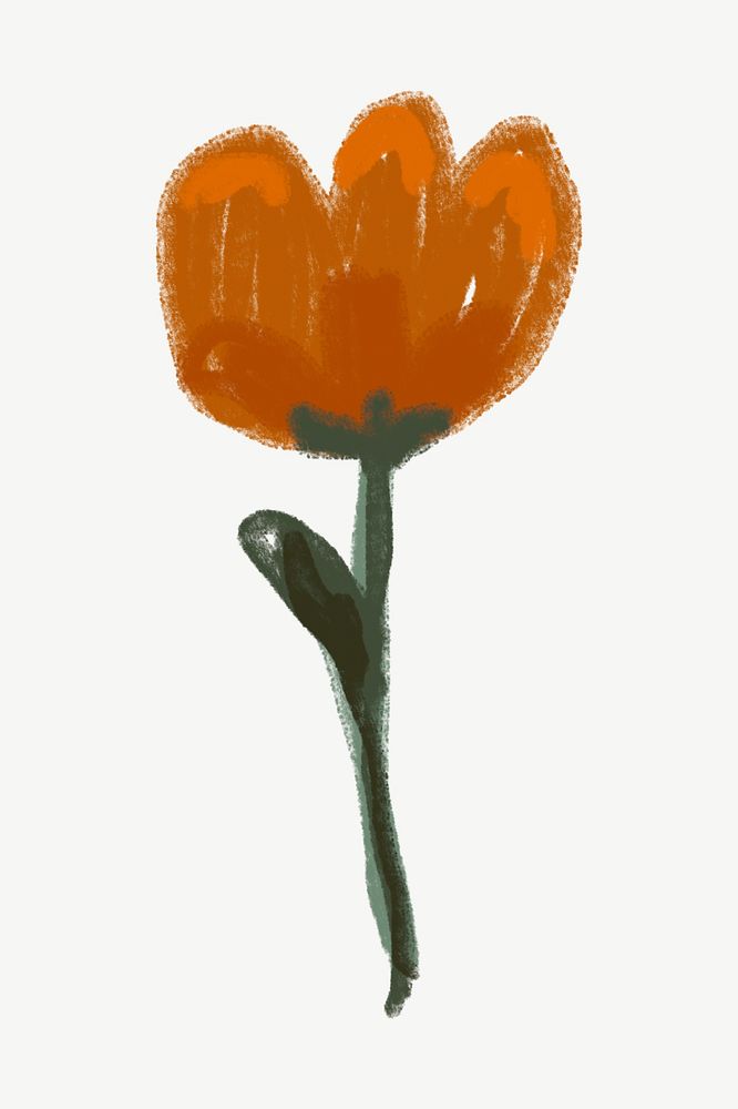 Orange tulip, flower doodle clipart psd