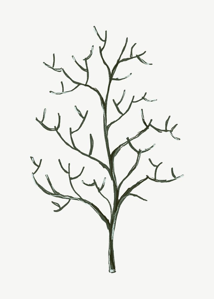 Leafless tree, botanical collage element psd