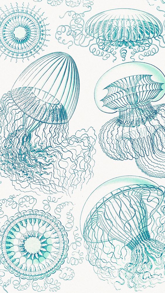 Vintage jellyfish pattern iPhone wallpaper, marine life illustration by Ernst Haeckel, remixed by rawpixel