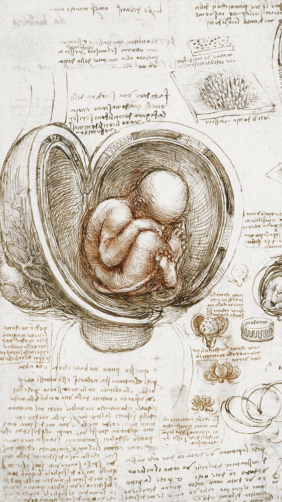 Leonardo da Vinci's mobile wallpaper, Studies of the Foetus in the Womb painting, remixed by rawpixel