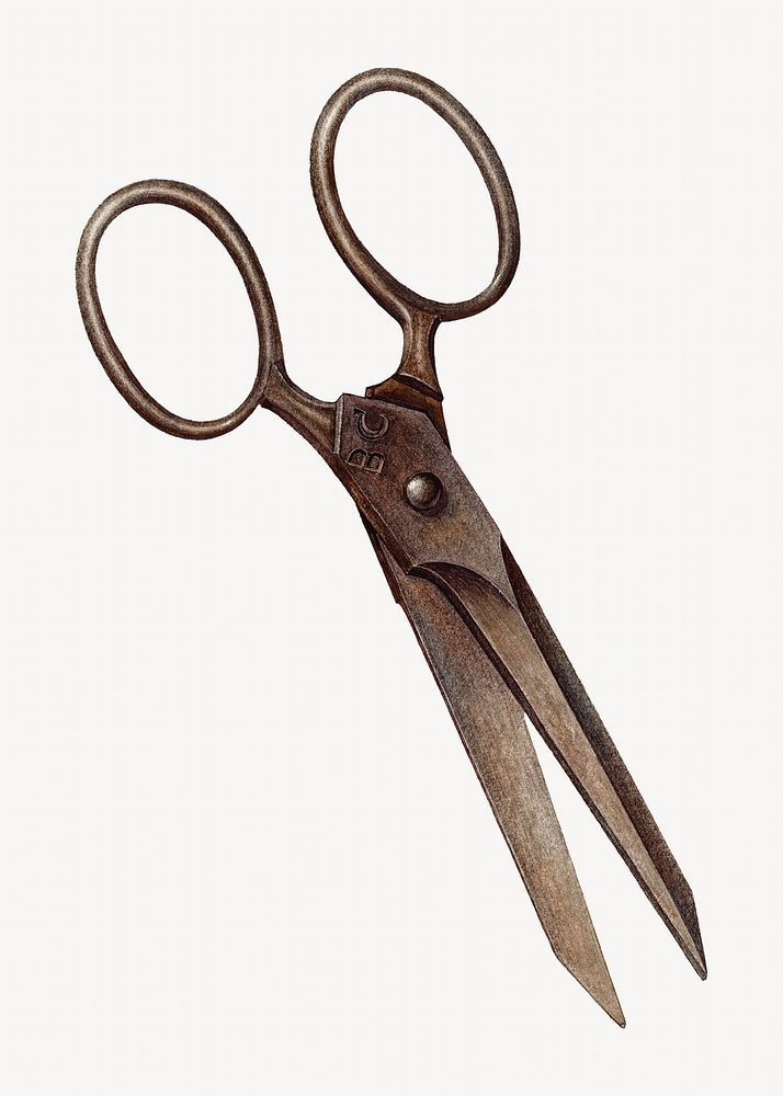 Scissors isolated vintage object on white background