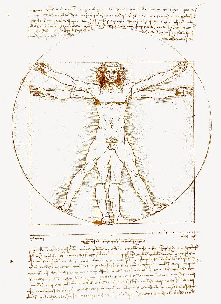 Leonardo da Vinci's Vitruvian Man, vintage illustration. Remastered by rawpixel.