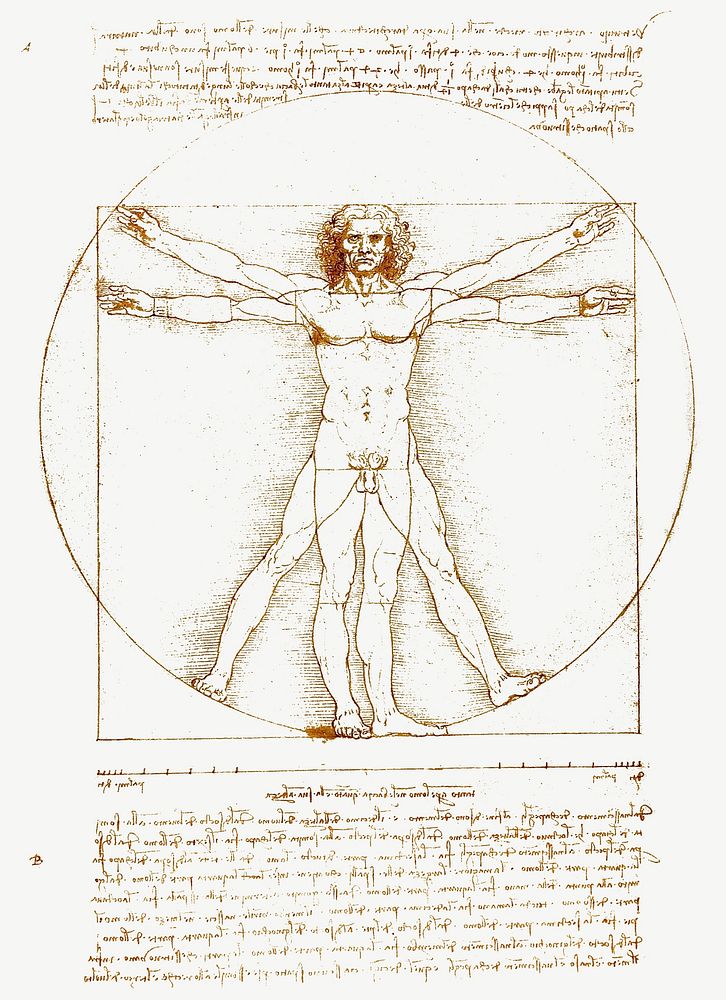 Leonardo da Vinci's Vitruvian Man collage element psd. Remastered by rawpixel.